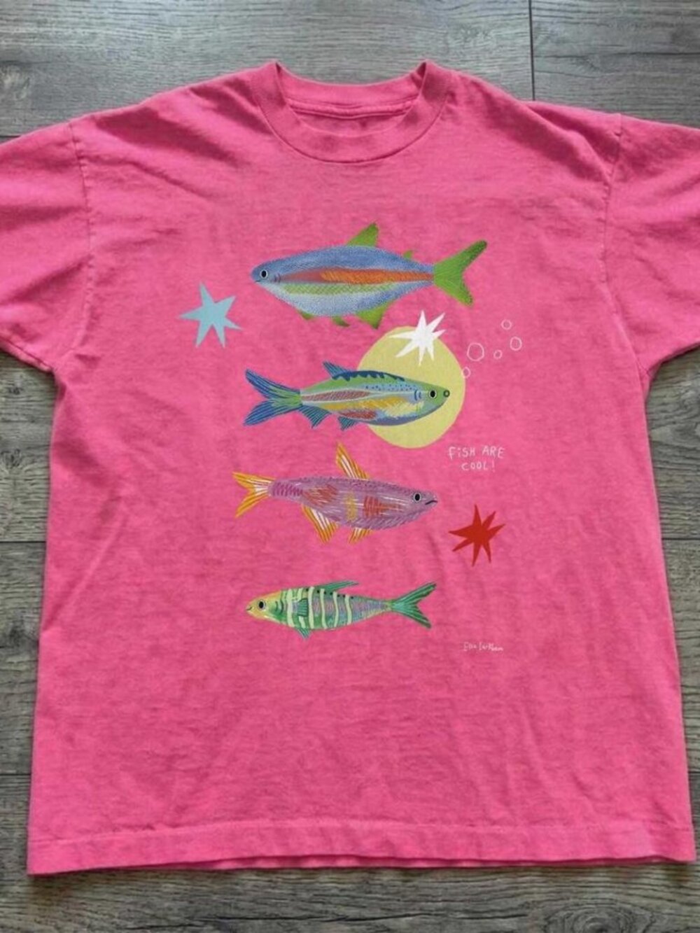 🐟 Gildan Heavy Cotton “Fish Are Cool” Colorful Fish Graphic T-Shirt